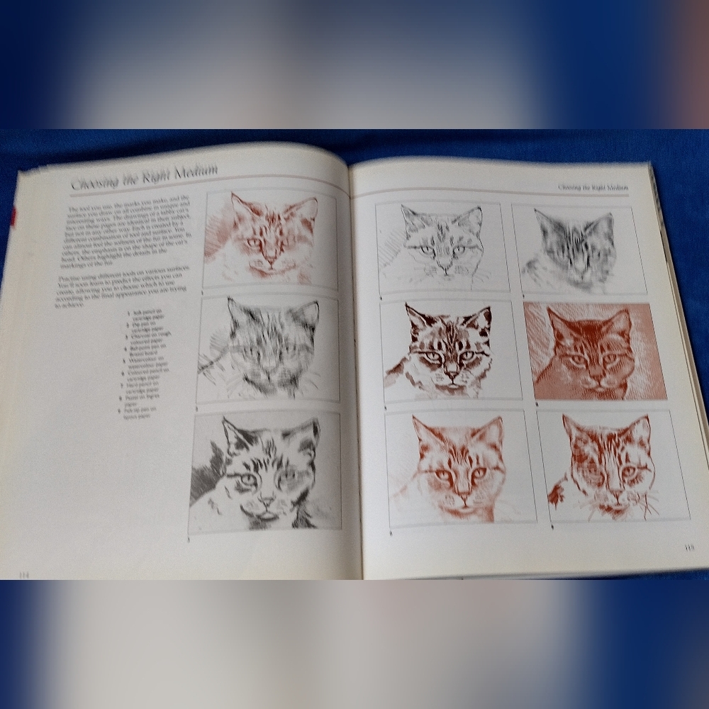 Drawing Animals - Picture 5 of 6